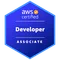 AWS Certified Developer – Associate AWS Certified Developer – Associate